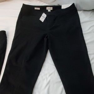Loft Pants